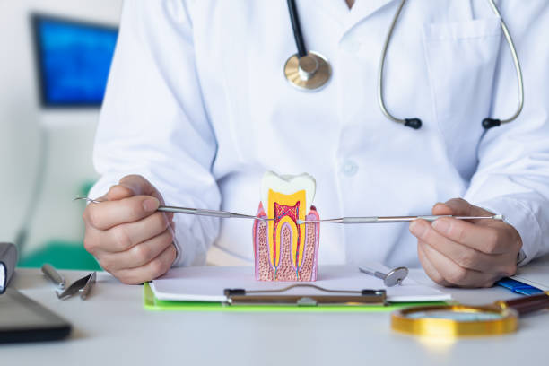 Best Broken or Cracked Tooth Emergency Dentist in Loughman, FL